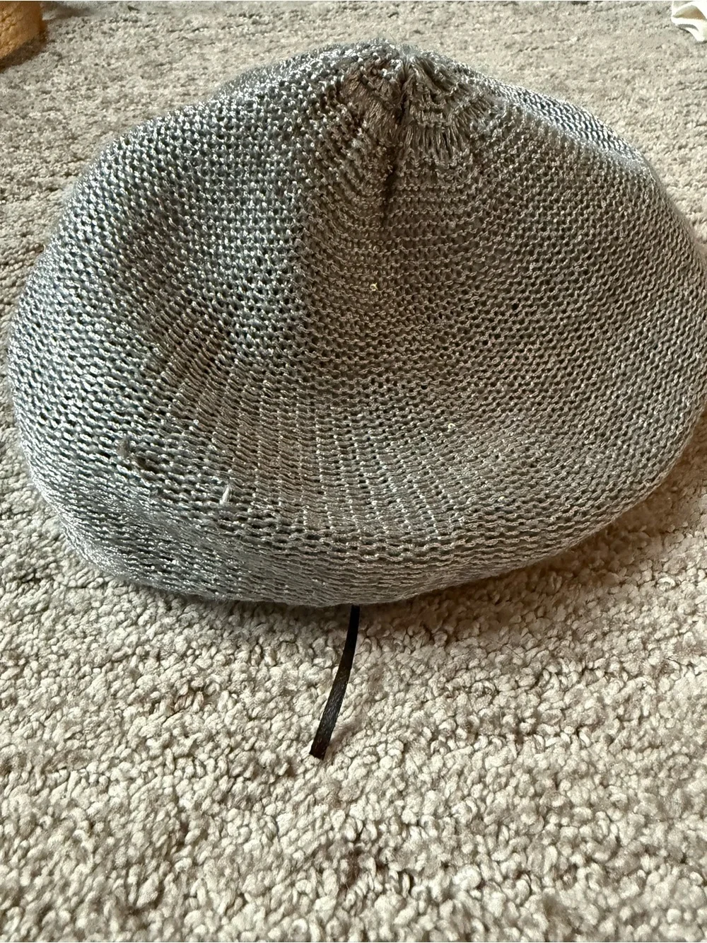 Silver Sequin Knit Beret